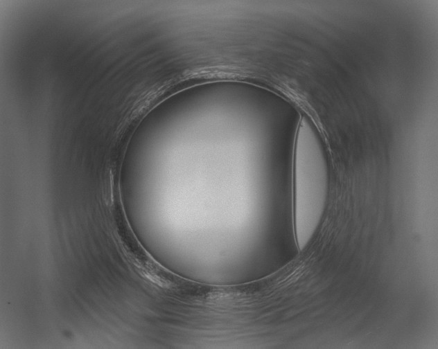 X0000054460109200507291031