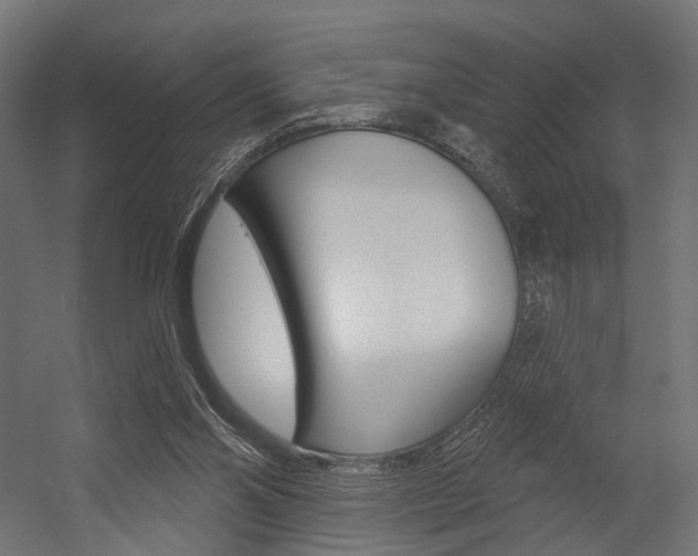 X0000054460110200507291031