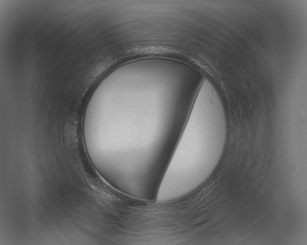X0000054460111200507291031