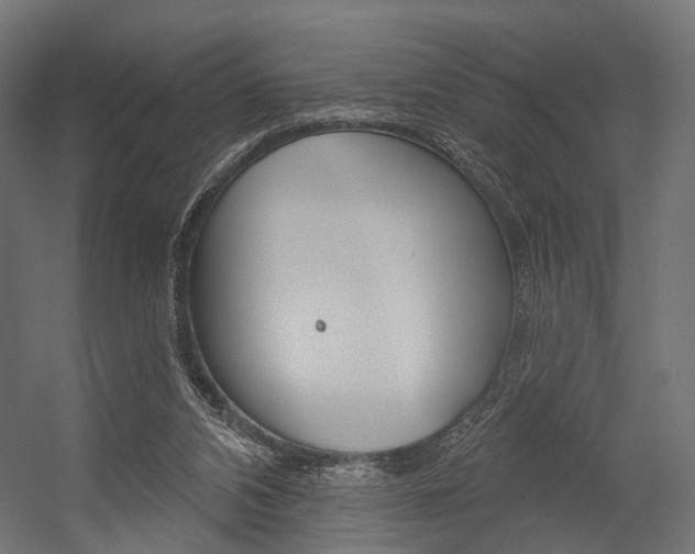 X0000054460112200507291031