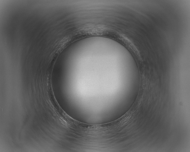 X0000054460113200507291031