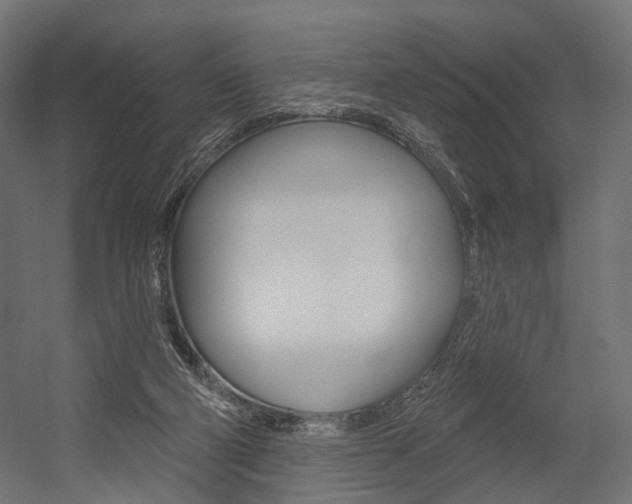 X0000054460114200507291031