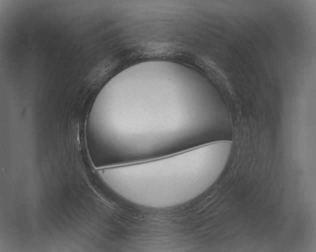 X0000054460115200507291031