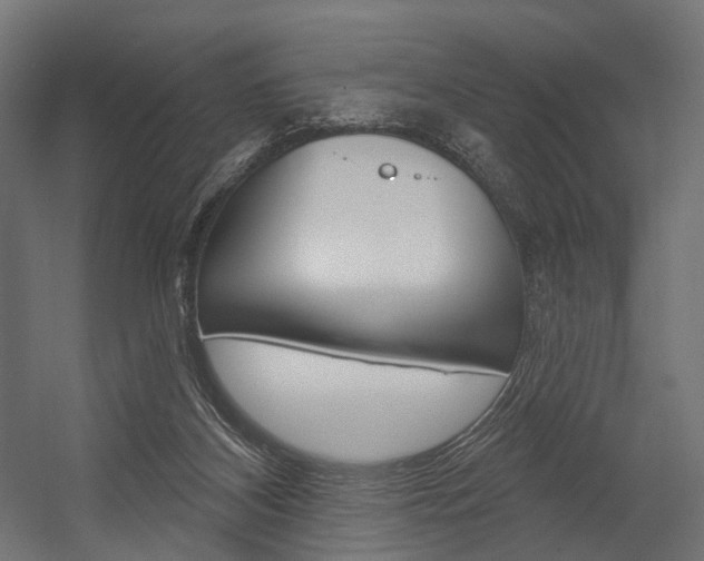 X0000054460116200507291031