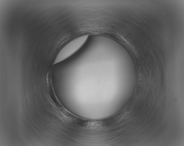 X0000054460117200507291031