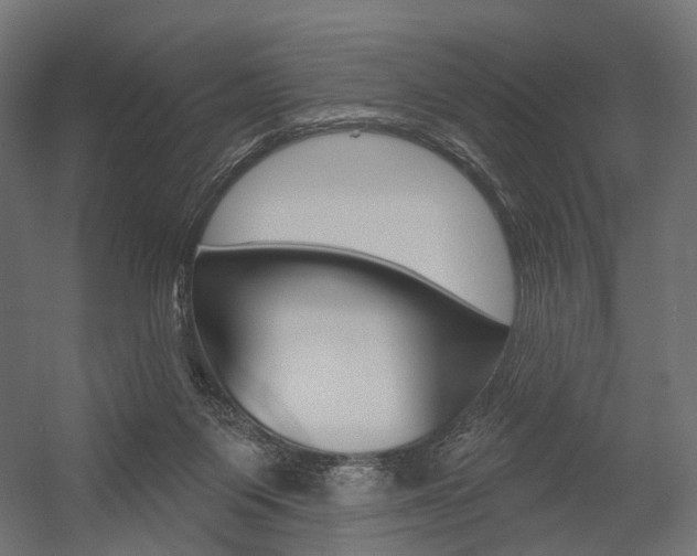 X0000054460119200507291031