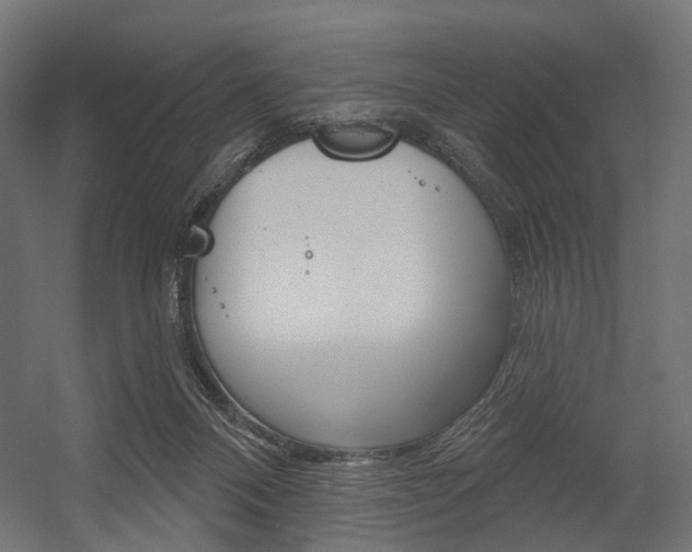 X0000054460120200507291031
