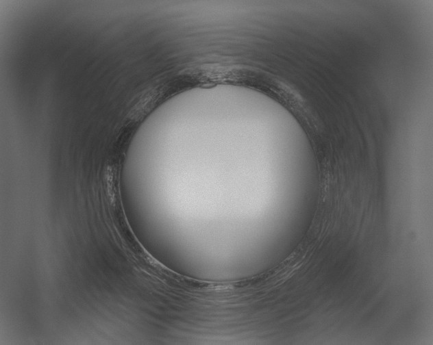 X0000054460121200507291031