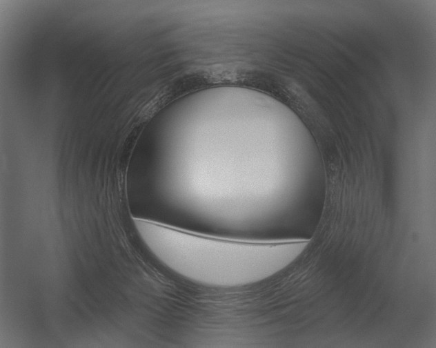 X0000054460125200507291031
