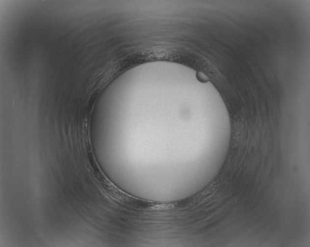 X0000054460126200507291031