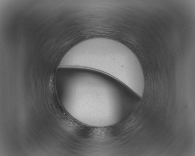 X0000054460127200507291031