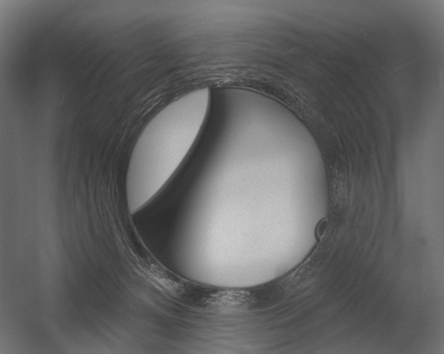 X0000054460128200507291031