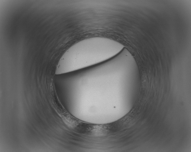 X0000054460130200507291031
