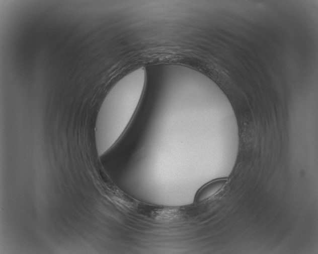 X0000054460132200507291031