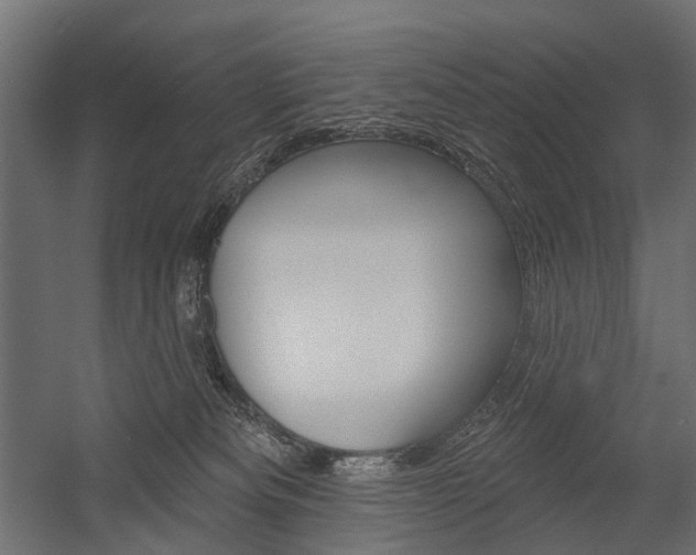X0000054460133200507291031