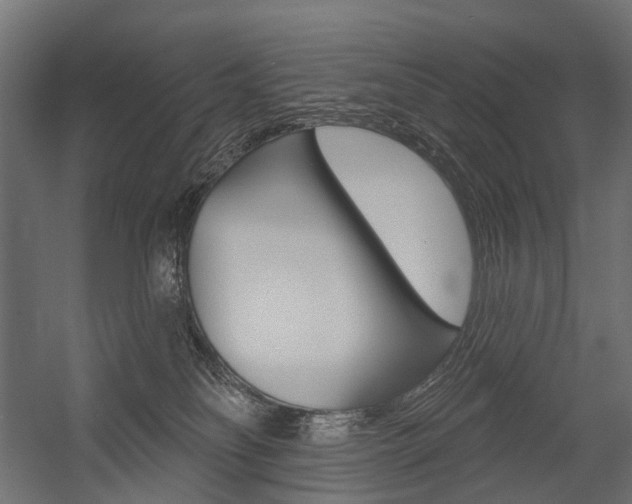 X0000054460134200507291031