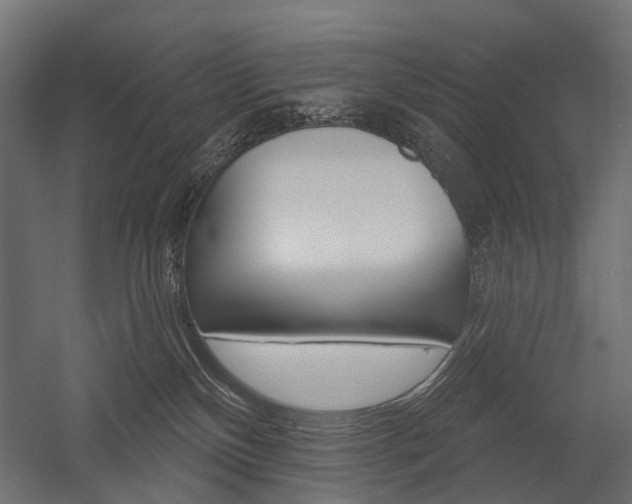 X0000054460136200507291031