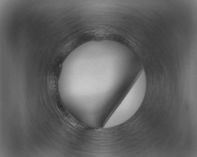 X0000054460137200507291031