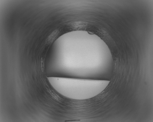 X0000054460138200507291031