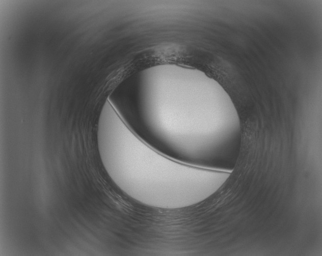 X0000054460139200507291031