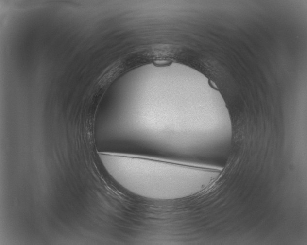 X0000054460140200507291031