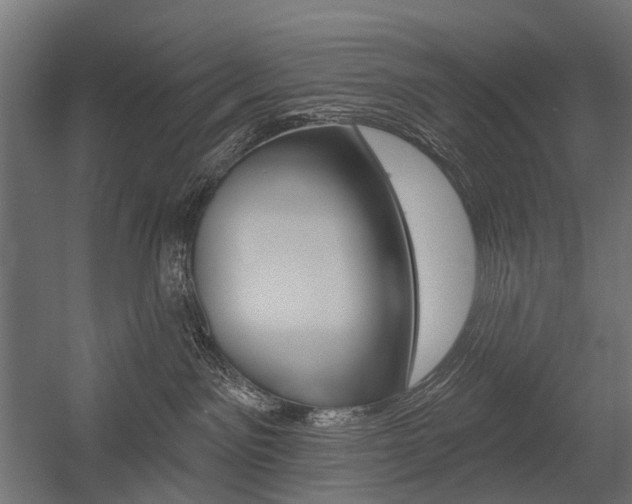 X0000054460141200507291031