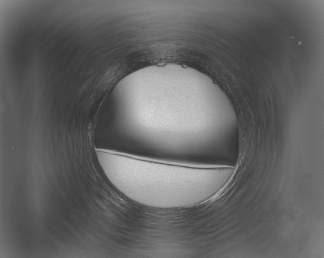 X0000054460144200507291031