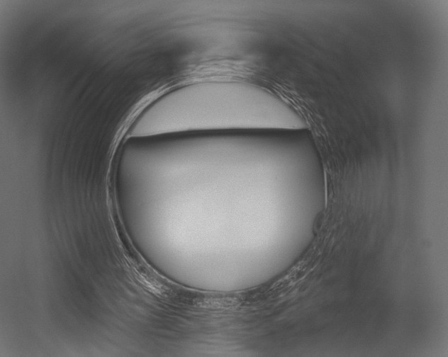X0000054460147200507291030
