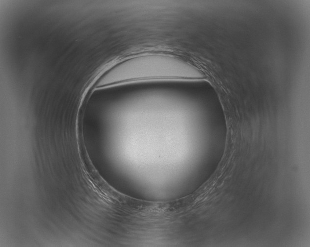 X0000054460148200507291030