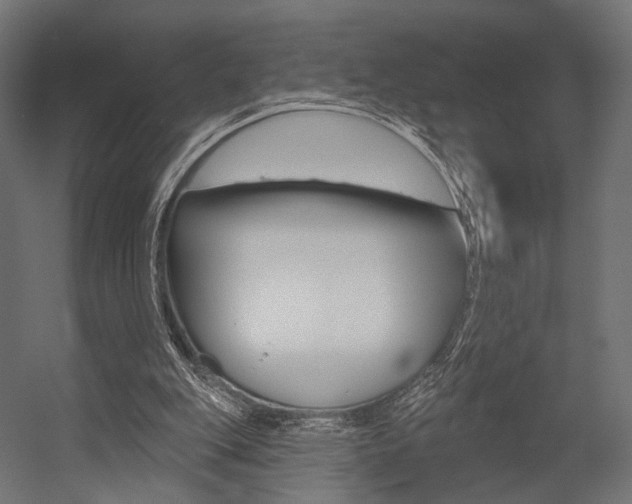 X0000054460151200507291030