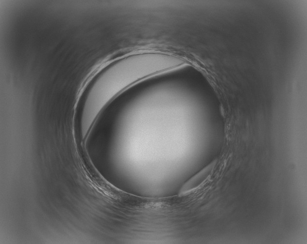 X0000054460152200507291030