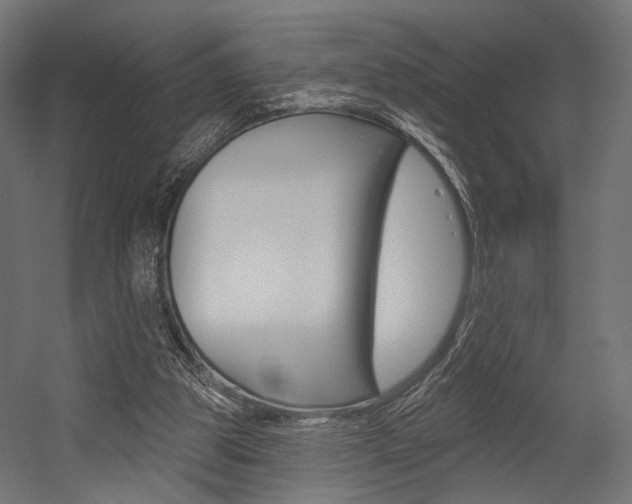 X0000054460153200507291030