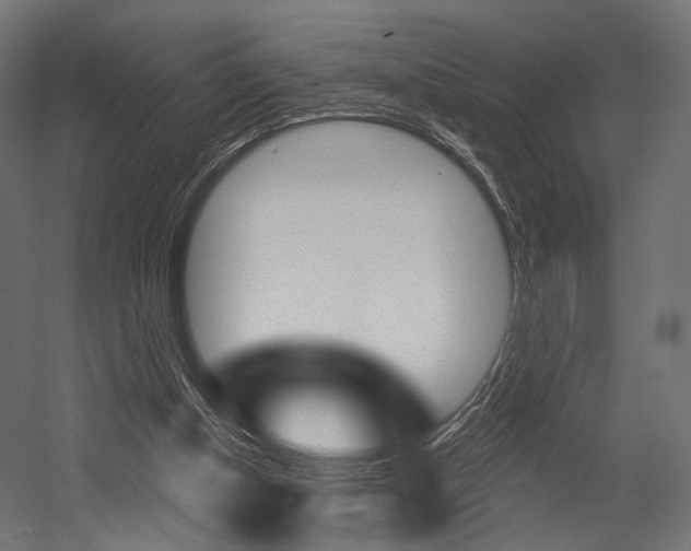 X0000054460154200507291030