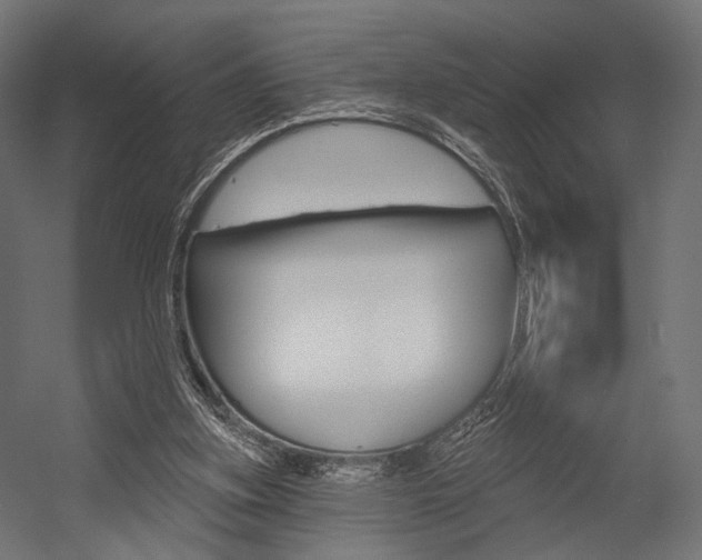 X0000054460155200507291030