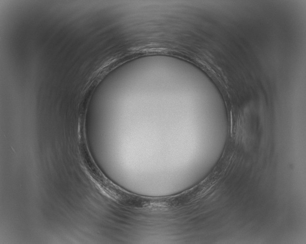 X0000054460157200507291030