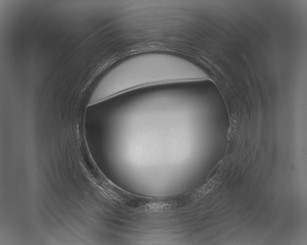 X0000054460158200507291030
