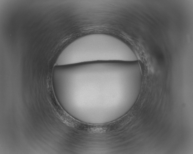 X0000054460161200507291030