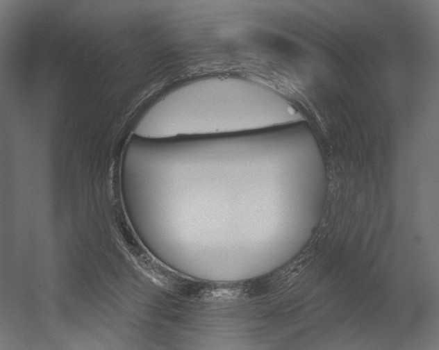 X0000054460163200507291030