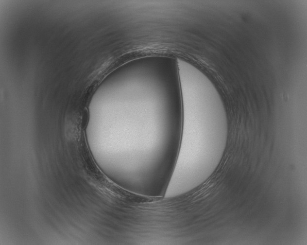 X0000054460168200507291030