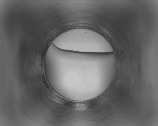 X0000054460169200507291030