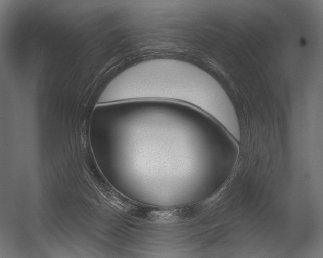 X0000054460170200507291030