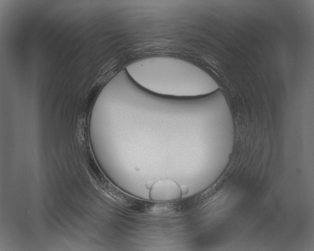 X0000054460171200507291030