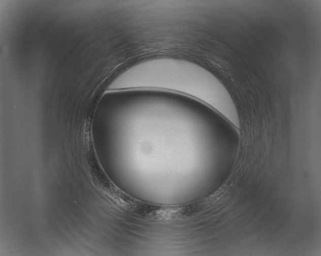 X0000054460172200507291031