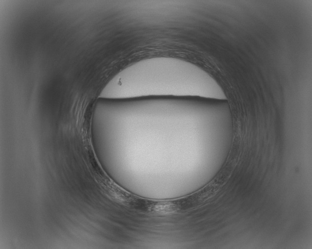 X0000054460173200507291031