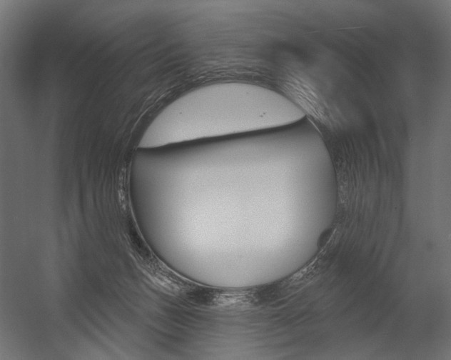 X0000054460175200507291031