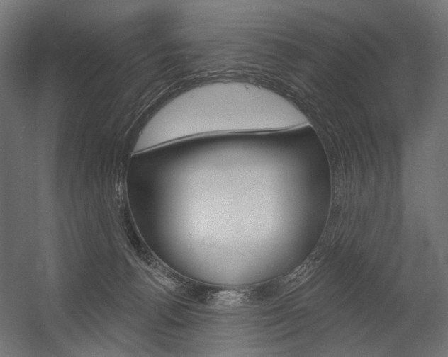 X0000054460176200507291031
