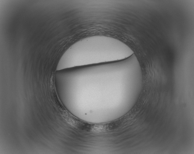 X0000054460177200507291031