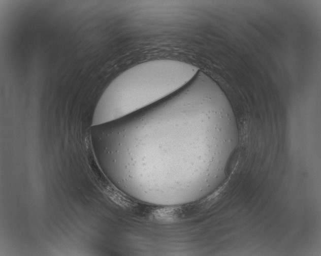 X0000054460178200507291031