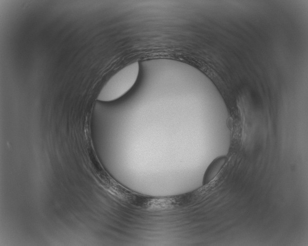 X0000054460179200507291031