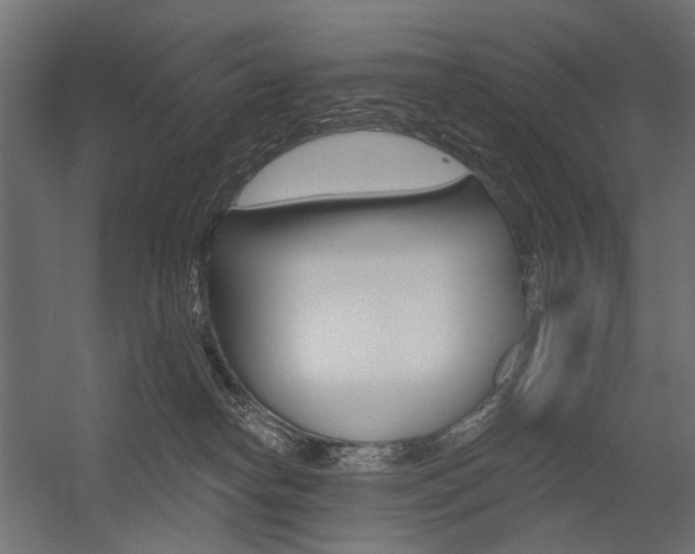 X0000054460182200507291031